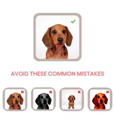 Avoid these common mistakes