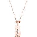 Collier pendentif chat commémoratif personnalisé – Nom gravé