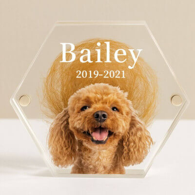 Personalised Acrylic Pet Keepsake with Photo –...