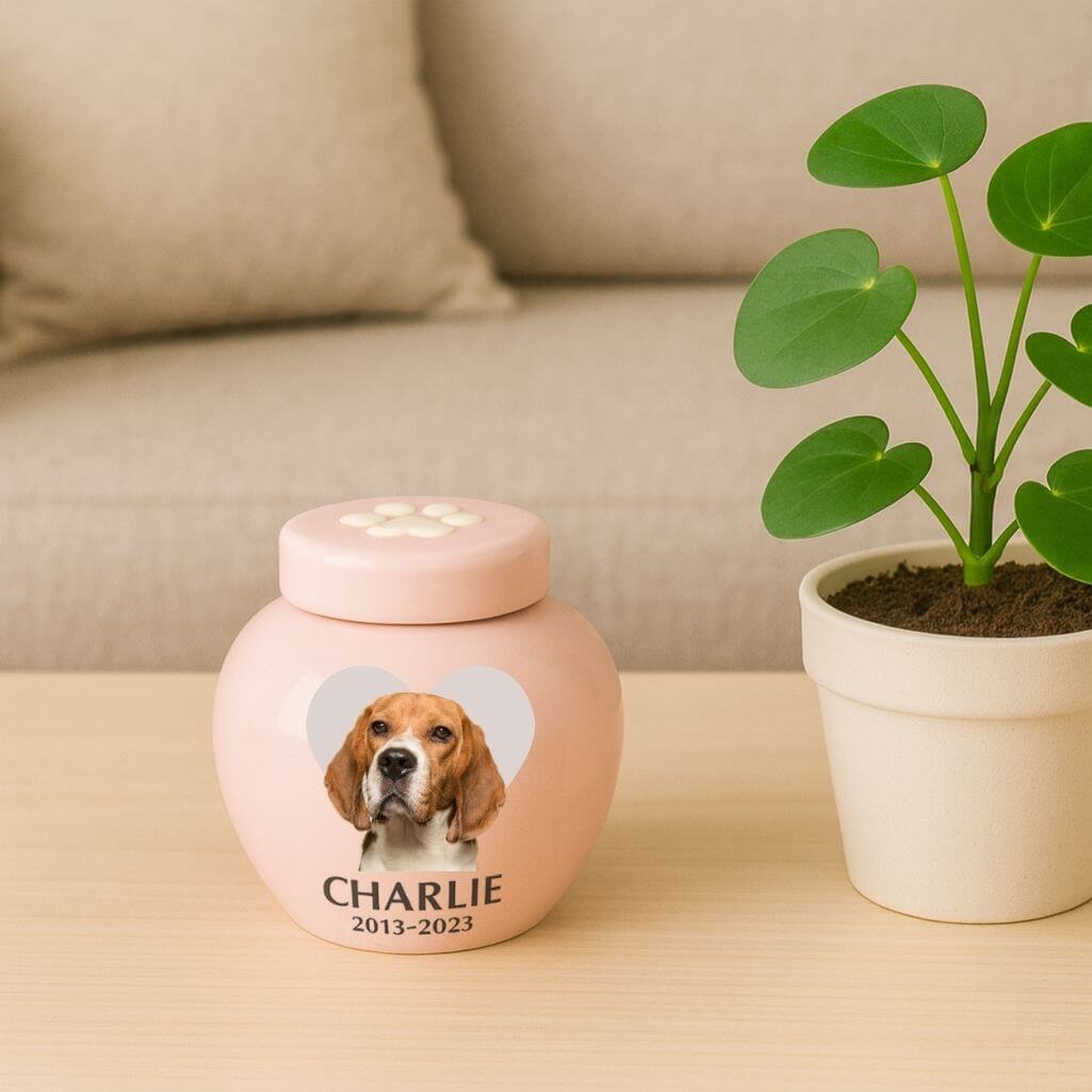 Personalised Ceramic Pet Urn with Photo – Dog Cremation Urn for Ashes with Name, Dates & Heart Tribute