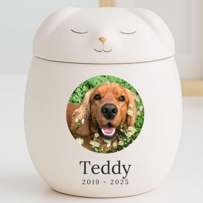 Personalised Ceramic Pet Urn with Sleeping Dog...