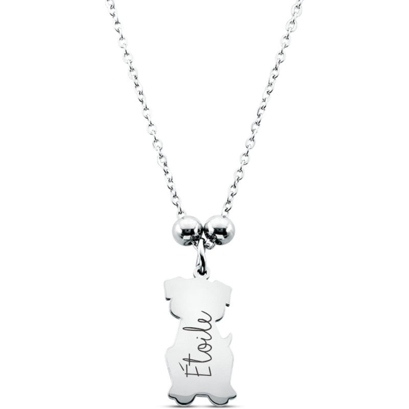 Collier pendentif chien commémoratif personnalisé – Nom gravé