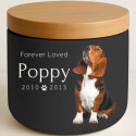 Personalised Ceramic Pet Urn with Photo – Dog Cremation Urn for Ashes with Name, Dates & Tribute