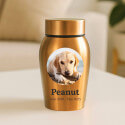 Personalised Pet Urn with Photo in a Halo Frame with Name & Dates – Stainless Steel Dog Urn