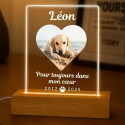 Cadre photo commémoratif lumineux chien personnalisé – Plaque rectangulaire en acrylique éclairage LED avec nom & dates gravés