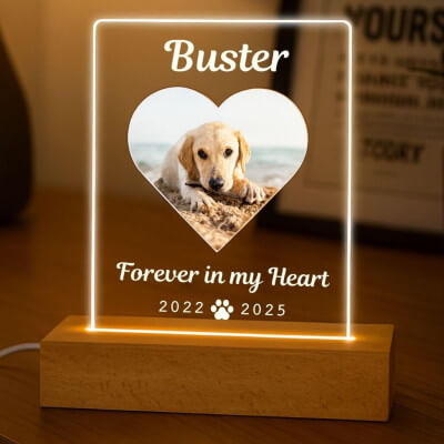 Personalised Pet Memorial LED Lamp with Photo –...