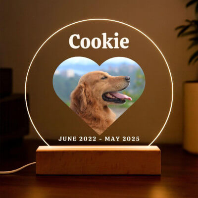 Personalised Pet Memorial LED Lamp with Heart...