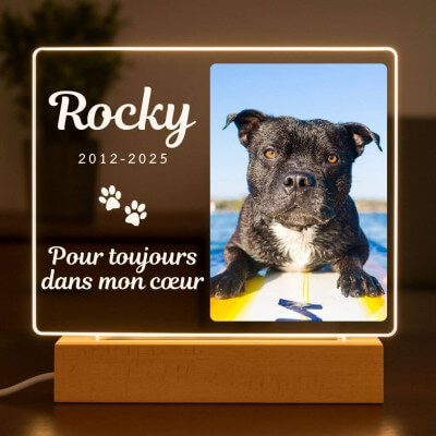 Lampe cadre photo chien personnalisé – Plaque...