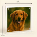 Personalised Square Acrylic Pet Memorial Photo Frame – Engraved with Name & Heart Paw Design