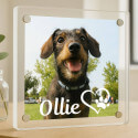 Personalised Square Acrylic Pet Memorial Photo Frame – Engraved with Name & Heart Paw Design
