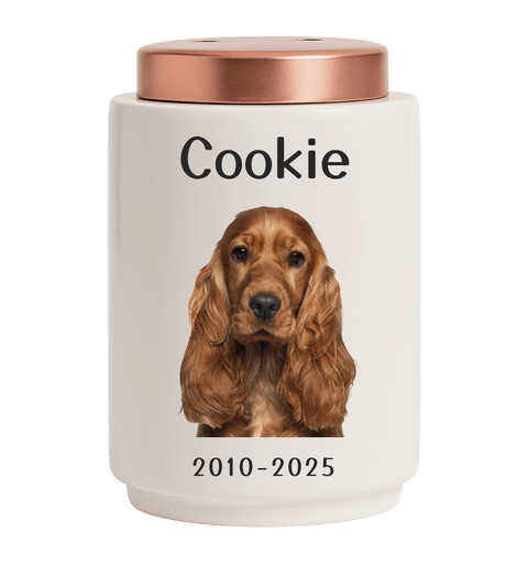 Personalised Ceramic Pet Urn with Photo –  Dog Cremation Urn for Ashes with Name, Dates & Stainless Steel Lid